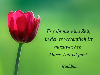 esgibtnureinezeit-buddha-9034808