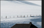 schnee_1-5255092