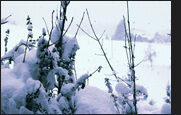 winter_14-9580874