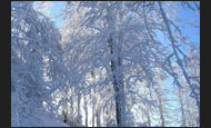 winter_49-5090133