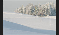 winterlandschaft_3-5609150